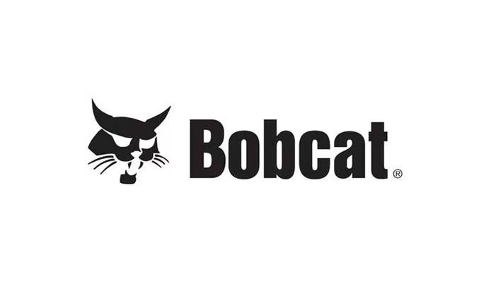 Bobcat